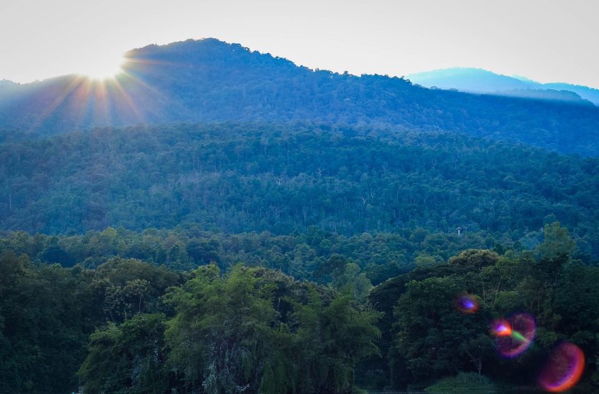 Sunrise over forested mountains in Chiang Mai during the lush green season with dense tropical trees.