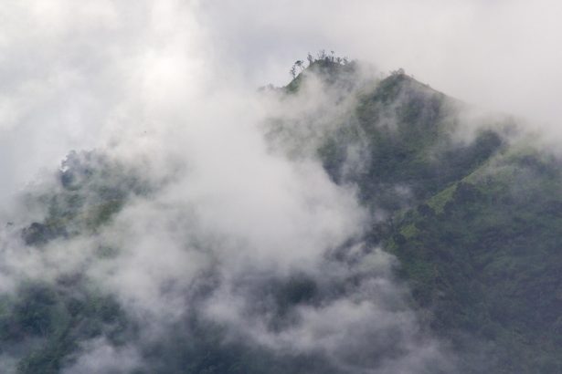 Misty green peaks of Phu Langka mountain partially covered by clouds in early morning light.