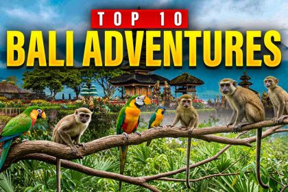 Bali adventure with colorful parrots and monkeys on tree branches near traditional temple and tropical landscape.